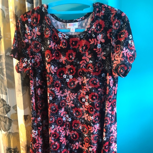 Carly - Picture 1 of 1